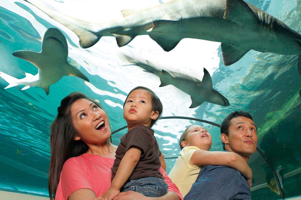 新泽西海洋生命水族馆 - 图片 3 的 5