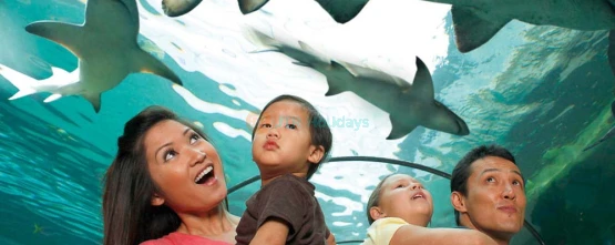 SEA LIFE New Jersey Aquarium at American Dream | Family-Friendly Marine Adventure - JTR Holidays