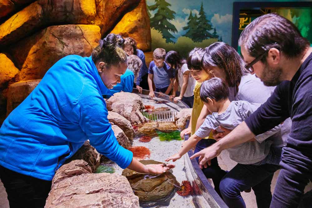 新泽西海洋生命水族馆 - 图片 5 的 5