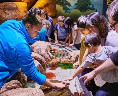新泽西海洋生命水族馆 - 探索位于美国梦想城购物中心的新泽西海洋生命水族馆,拥有3000多种海洋生物,设有互动和主题展览。穿越壮丽的海洋隧道,享受触摸池的近距离接触体验。非常适合家庭和儿童,是纽约市附近一个有趣且富教育意义的一天游。在线预订门票,享受最佳价格并保证入场。今天就潜入难忘的海底探险吧! 新泽西海洋生命水族馆 - 图片 5 的 5