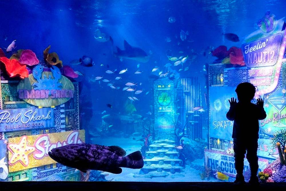 新泽西海洋生命水族馆 - Image 6 of 7