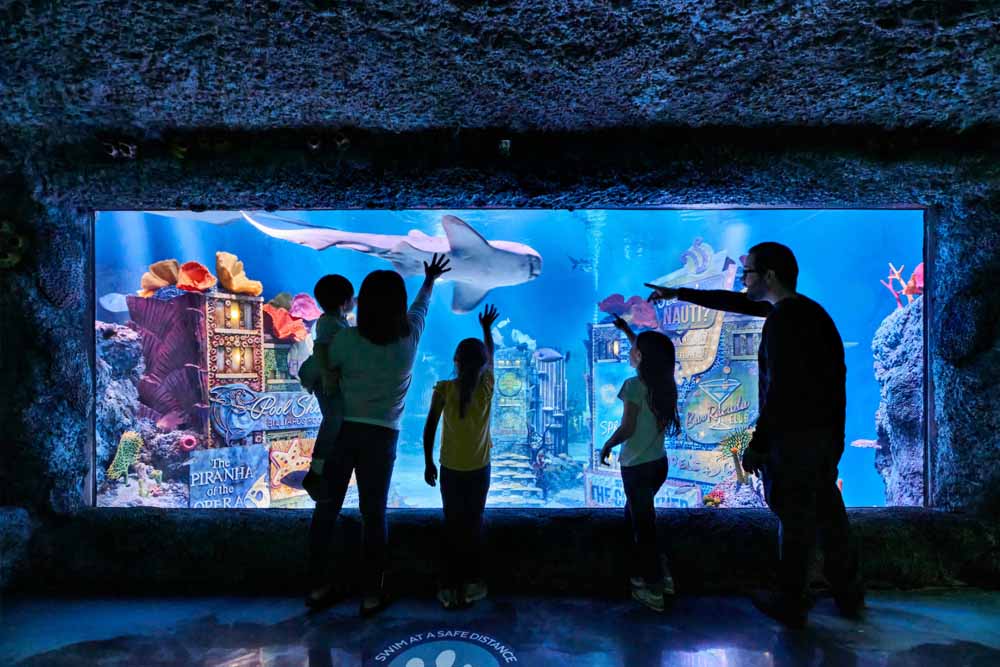 新泽西海洋生命水族馆 - Image 7 of 7