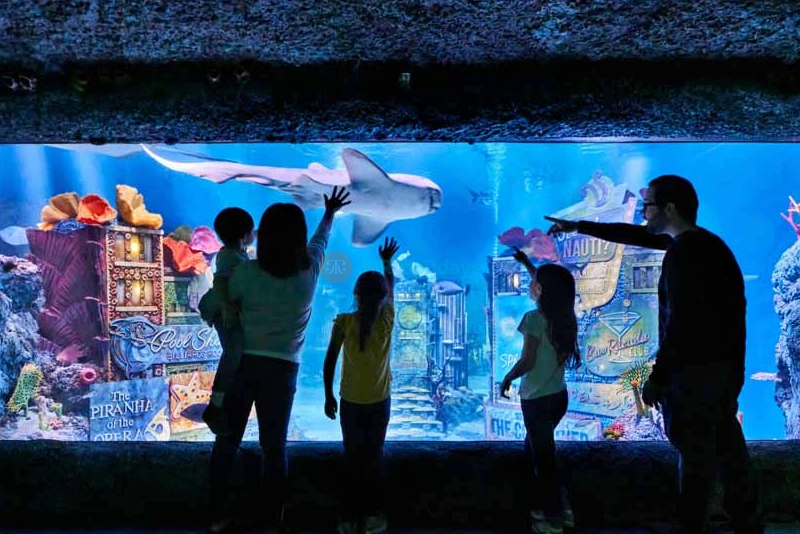 SEA LIFE New Jersey Aquarium at American Dream | Family-Friendly Marine Adventure - JTR Holidays