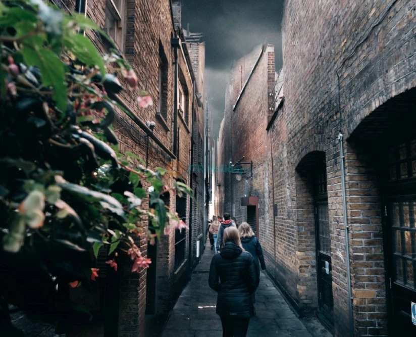 Entrada para el Tour a Pie Mágico de Harry Potter en Londres - Imagen 5 de 5