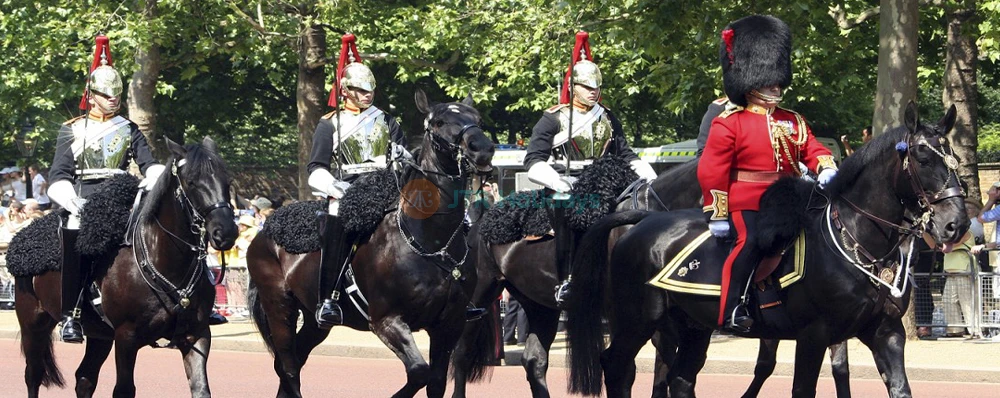 Open Top Vintage Bus Tour and River Thames Cruise - Image 4 of 5
