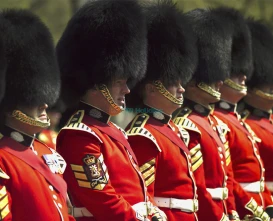 Full Day London Tour with River Cruise & London Eye - JTR Holidays