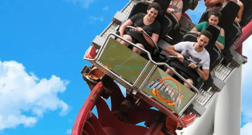 MagicLand ticket - Image 1 of 12