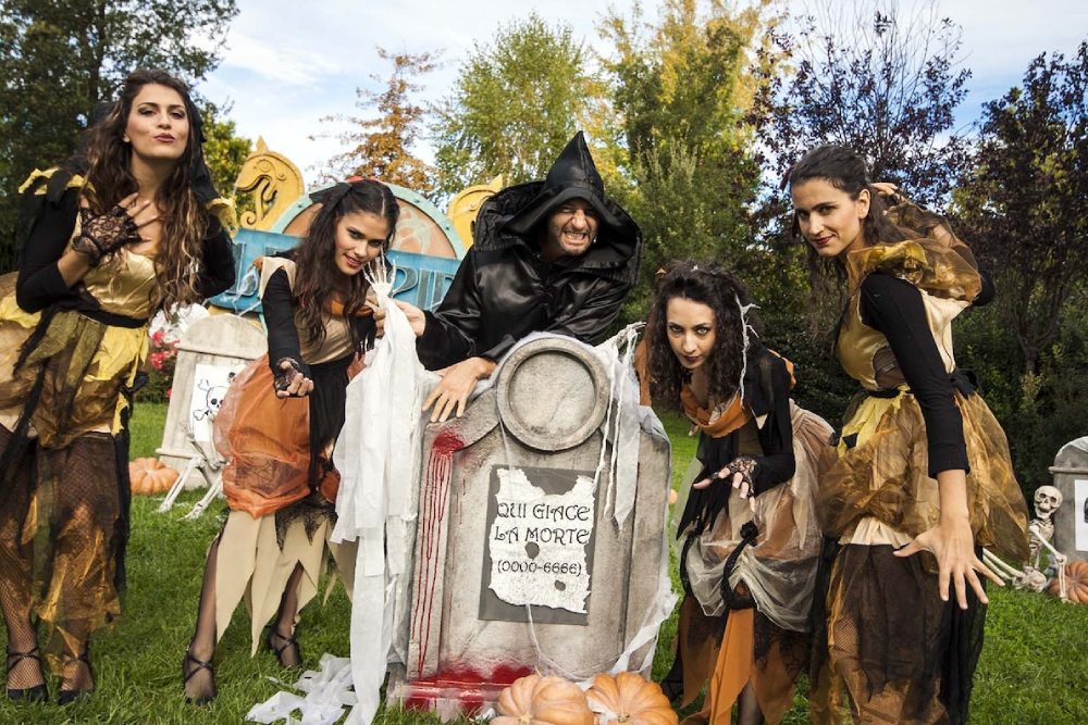 MagicLand ticket - Image 3 of 12