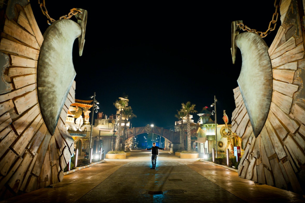 MagicLand ticket - Image 5 of 12