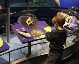 New England Aquarium Tickets | Explore Boston’s Top Marine Life Attraction - JTR Holidays