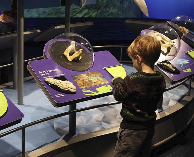 New England Aquarium Tickets | Explore Boston’s Top Marine Life Attraction - JTR Holidays - Image 2 of 5