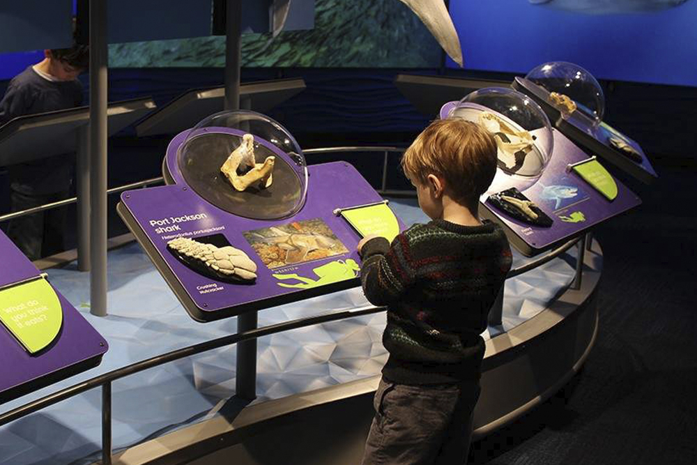 新英格兰水族馆门票 - Image 2 of 7