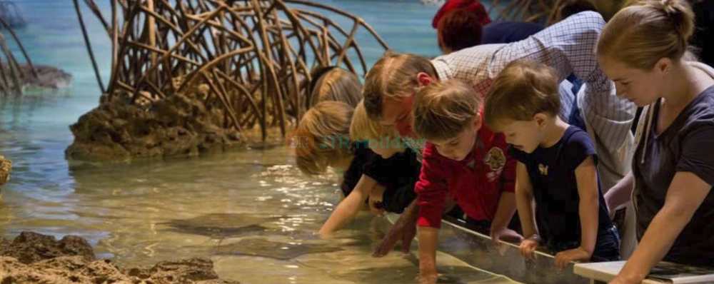 New England Aquarium Tickets | Explore Boston’s Top Marine Life Attraction - JTR Holidays - Image 3 of 5