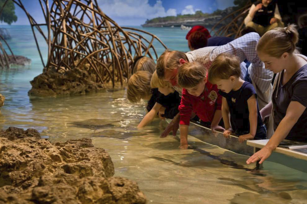 新英格兰水族馆门票 - 图片 3 的 5