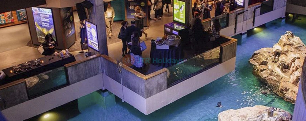 New England Aquarium Tickets | Explore Boston’s Top Marine Life Attraction - JTR Holidays - Image 4 of 5