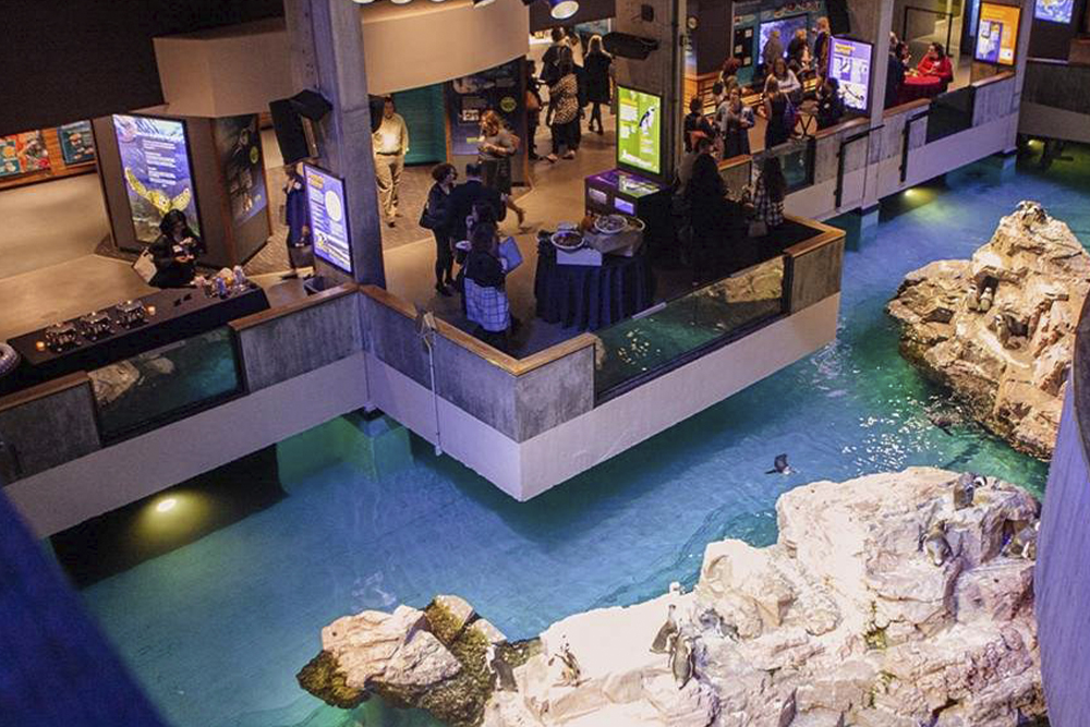 新英格兰水族馆门票 - Image 4 of 7