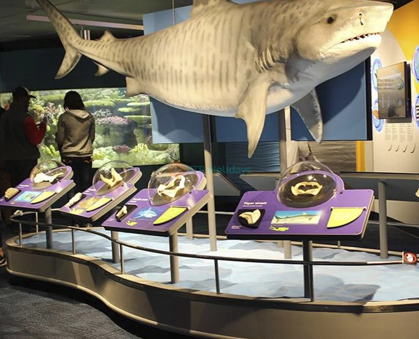 New England Aquarium Tickets | Explore Boston’s Top Marine Life Attraction - JTR Holidays - Image 5 of 5