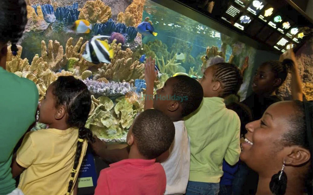 New England Aquarium Tickets | Explore Boston’s Top Marine Life Attraction - JTR Holidays