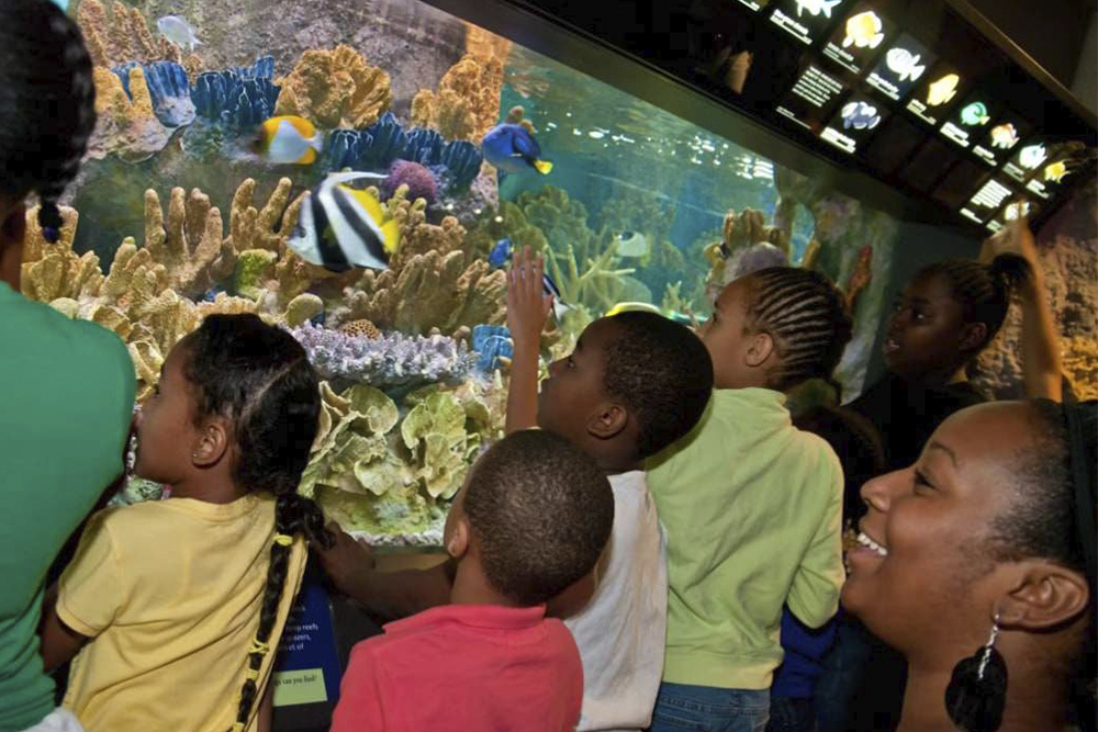 新英格兰水族馆门票 - Image 6 of 7