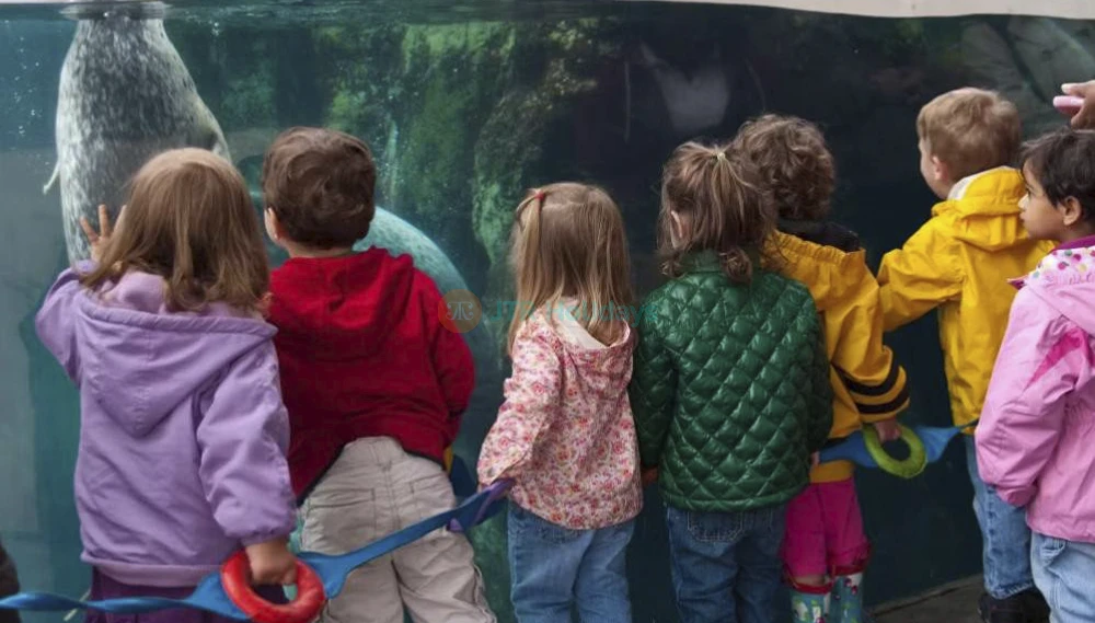 New England Aquarium Tickets | Explore Boston’s Top Marine Life Attraction - JTR Holidays