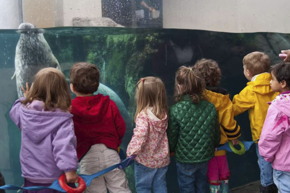 新英格兰水族馆门票 - Image 7 of 7