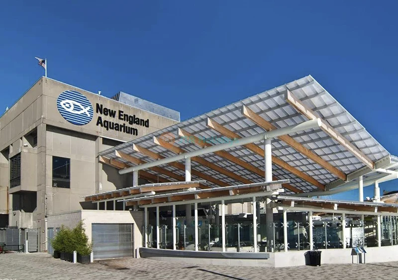 Biglietto per il New England Aquarium