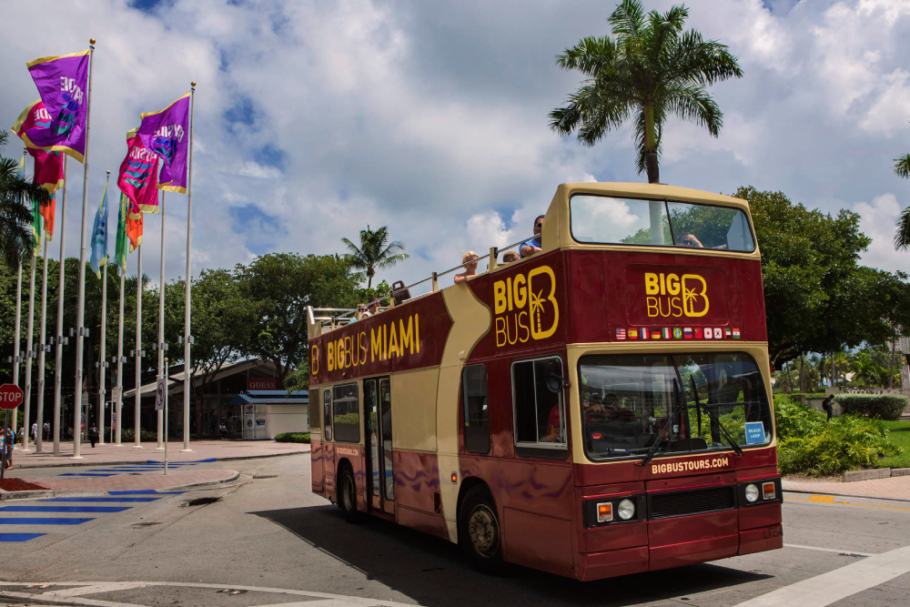 Miami Big Bus Hop-On Hop-Off Tours (Open-Top) Ticket - Image 1 of 5