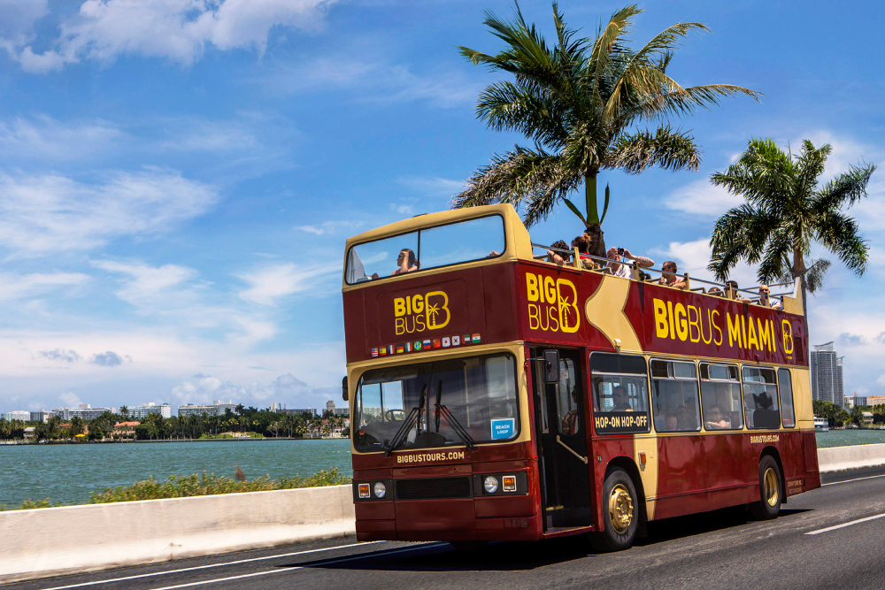 Miami Big Bus Hop-On Hop-Off Tours (Open-Top) Ticket - Image 4 of 5