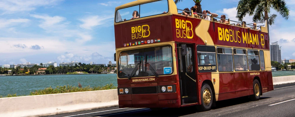 Miami Big Bus Open-Top Hop-On Hop-Off Tours – Explore Miami at Your Own Pace-JTR Holidays - Image 4 of 5