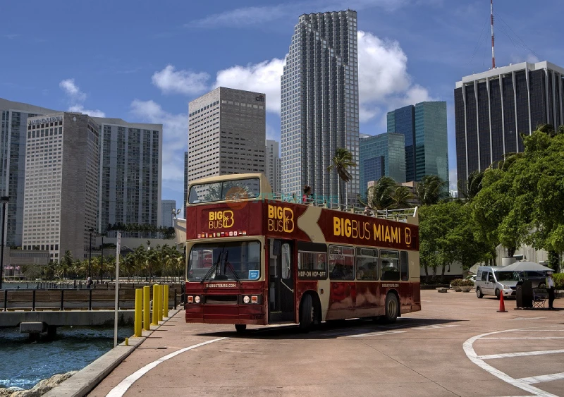 Miami Big Bus Hop-On Hop-Off Tours (Open-Top) Ticket