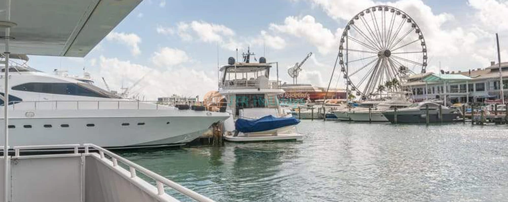 Original Millionaire’s Row Cruise | Miami Biscayne Bay Sightseeing Tour - JTR Holidays