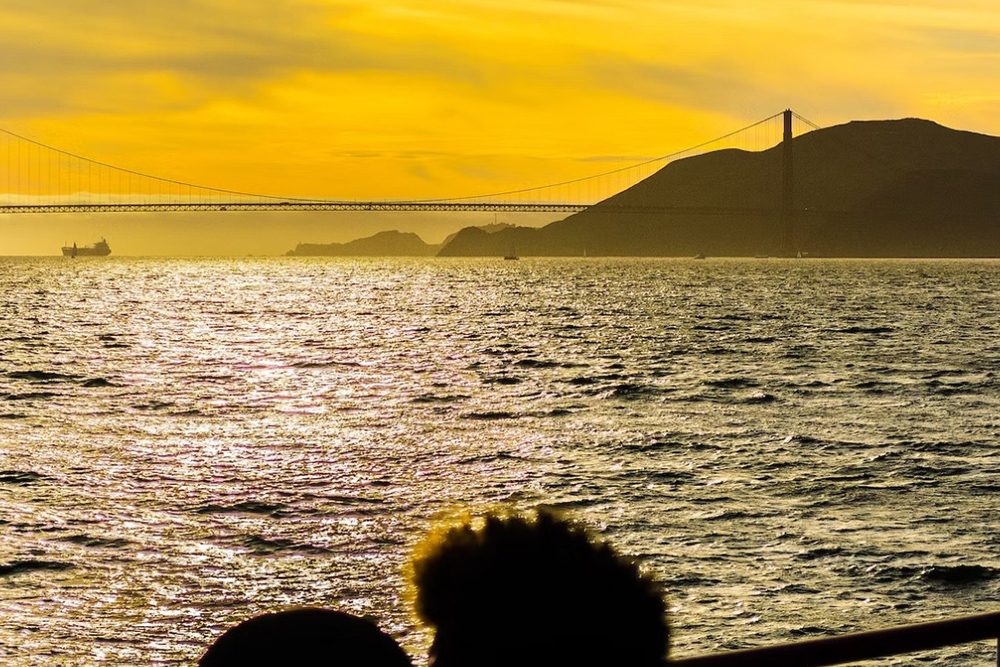 رحلة بحرية لمشاهدة المعالم عند الغروب أو في المساء مع أسطول ريد آند وايت - صورة 5 من 5