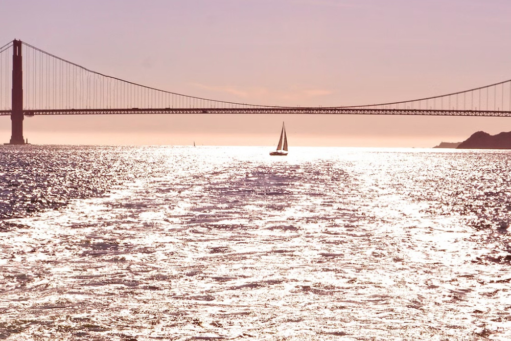 رحلة بحرية لمشاهدة المعالم عند الغروب أو في المساء مع أسطول ريد آند وايت - Image 7 of 10