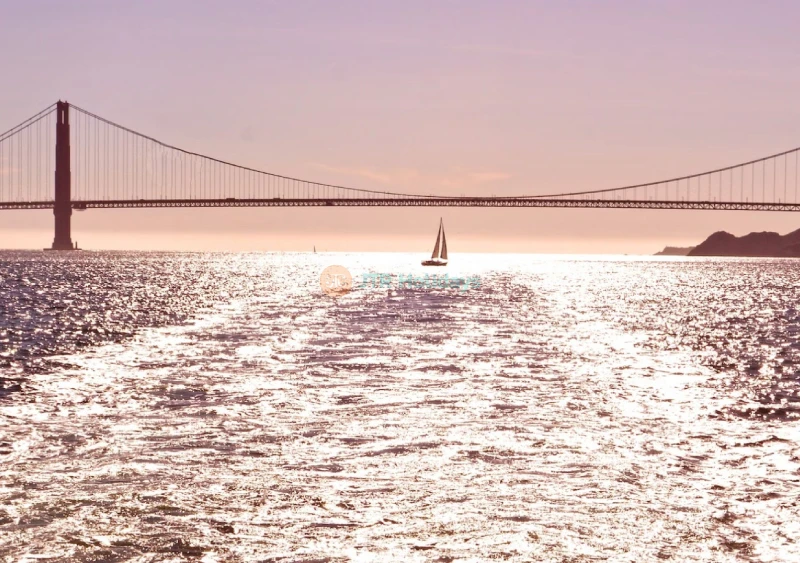 Golden Gate Sightseeing Boat Cruise by Red and White Fleet