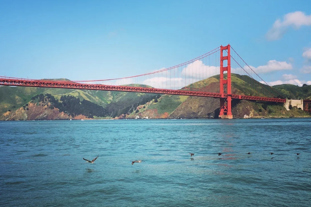 Bridge to Bridge Sightseeing Boat Cruise by Red and White Fleet - Sail from the Golden Gate to the Bay Bridge on a 90 minute San Francisco Bay cruise. Pass Alcatraz, Sausalito, and iconic waterfront landmarks with stunning photo opportunities. Bridge to Bridge Sightseeing Boat Cruise by Red and White Fleet - Image 4 of 5