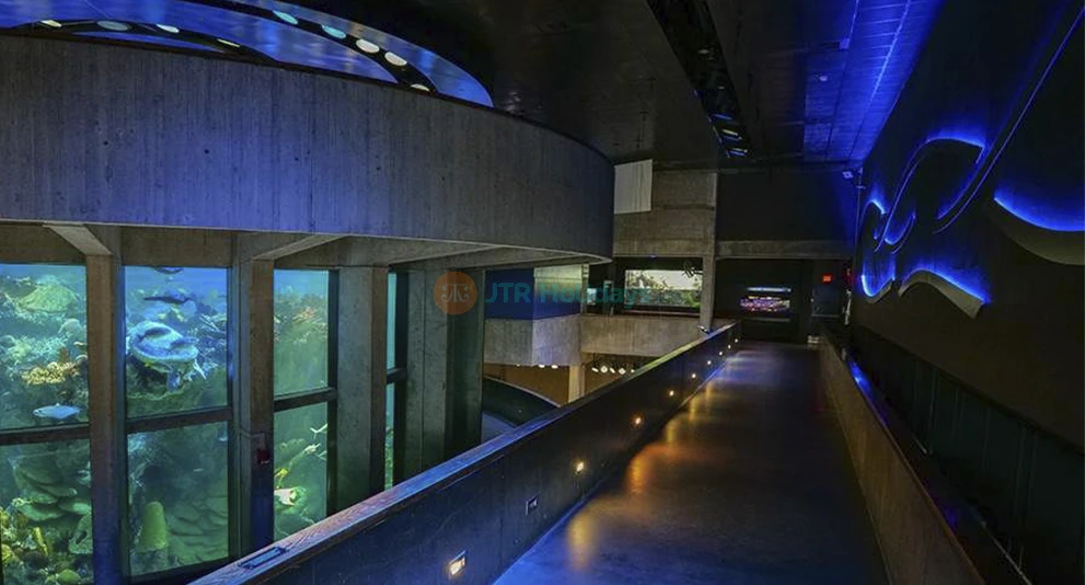 New England Aquarium Tickets | Explore Boston’s Top Marine Life Attraction - JTR Holidays - Image 1 of 5