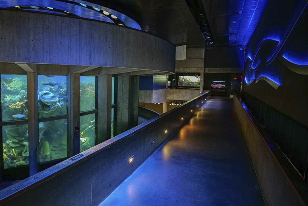 New England Aquarium Ticket - Book New England Aquarium tickets to explore Boston’s top marine attraction. See penguins, seals, jellyfish, and a massive ocean tank, plus enjoy interactive exhibits and hands on encounters for an unforgettable underwater adventure for all ages. New England Aquarium Ticket - Image 1 of 5