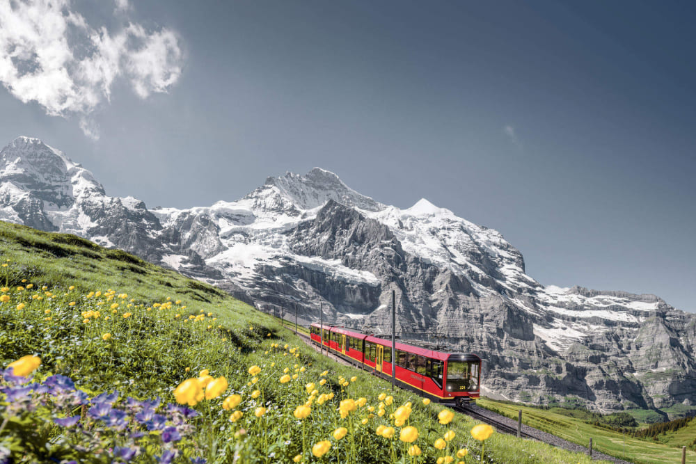 Excursión de un día a la Aventura en la Cima del Monte First desde Zúrich - Embárquese en una excursión de un día inolvidable al Monte First desde Zúrich. Viaje en el pintoresco teleférico desde Grindelwald, experimente el emocionante Cliff Walk de Tissot y disfrute de vistas panorámicas de los Alpes suizos. Camine hasta el impresionante Lago Bachalpsee o pruebe actividades de aventura como el First Flyer y los carritos de montaña. Perfecto para amantes de la naturaleza y buscadores de emociones, esta escapada alpina ofrece un día completo de emoción, belleza y relajación en uno de los destinos montañosos más pintorescos de Suiza. Excursión de un día a la Aventura en la Cima del Monte First desde Zúrich - Imagen 1 de 5