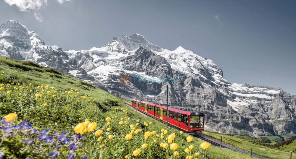 Day Trip to Mount First Top Adventure from Zurich Ticket - Image 1 of 5