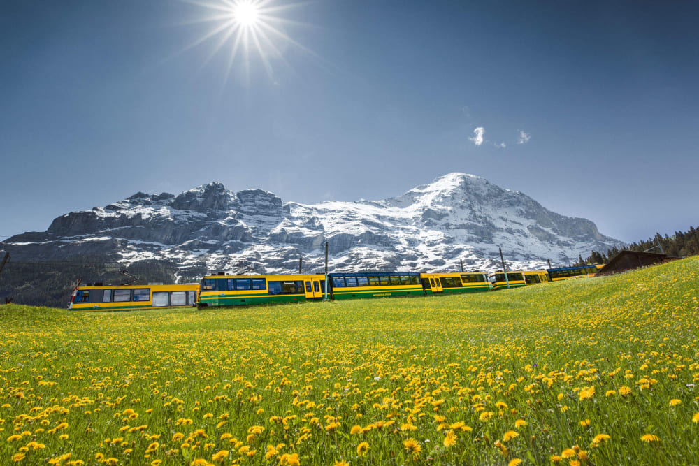 Tagesausflug zum Mount First Abenteuer ab Zürich Ticket - Image 3 of 5