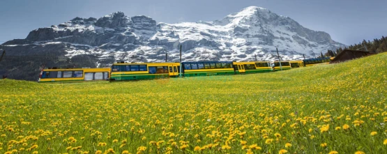 Day Trip to Mount First from Zurich - JTR Holidays