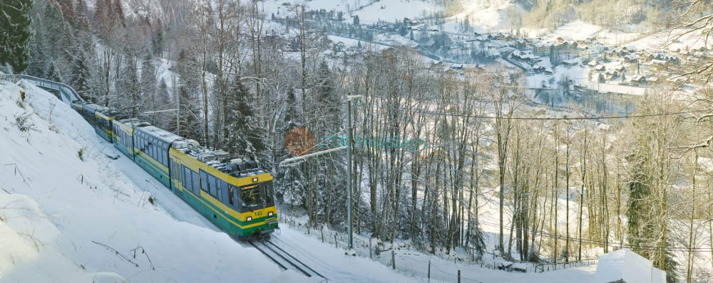 Day Trip to Mount First from Zurich - JTR Holidays - Image 4 of 5