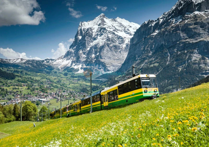 Day Trip to Mount First Top Adventure from Zurich Ticket