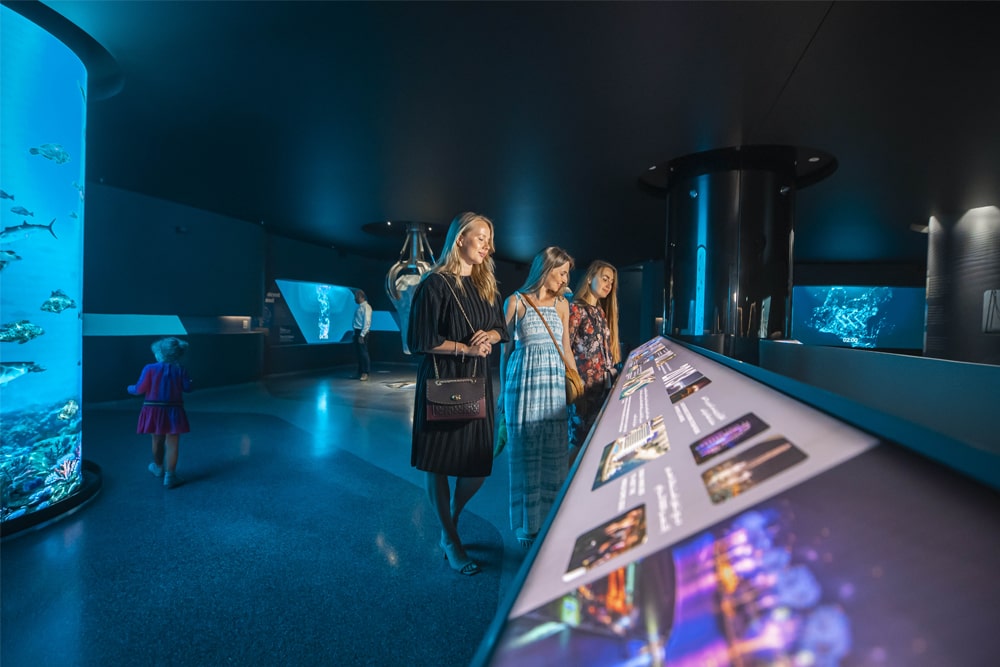 The View At The Palm Jumeirah Ticket - Image 8 of 8