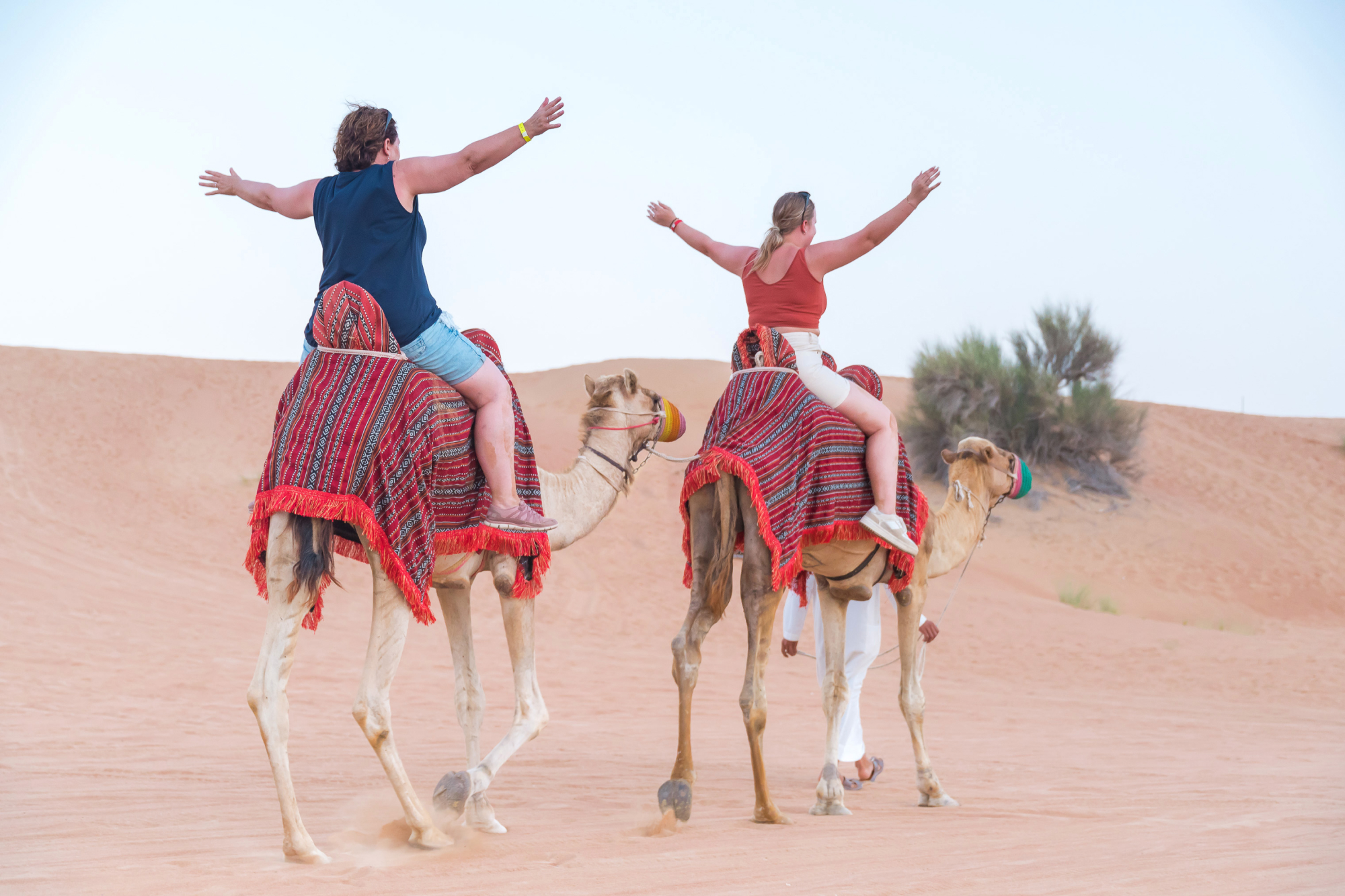 Hot Air Balloon Dubai - Image 2 of 8