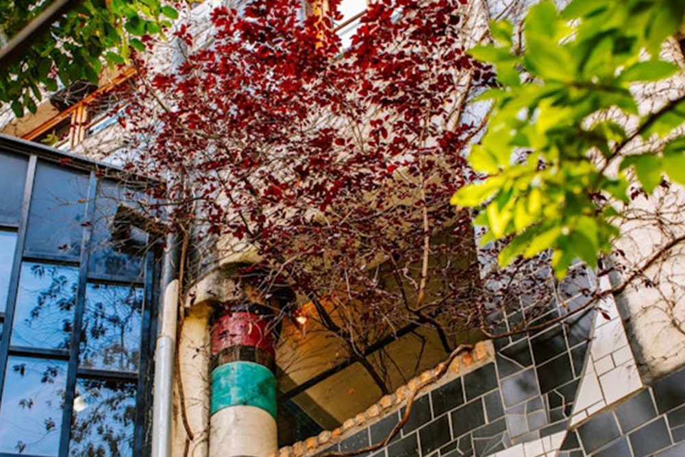 Museum Hundertwasser - Image 5 of 5