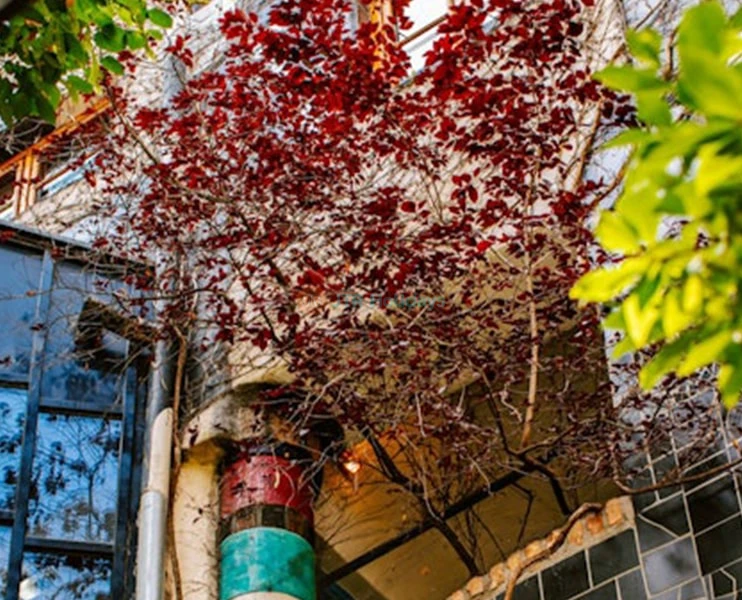 Museum Hundertwasser Vienna | Art, Architecture & Ecology - JTR Holidays