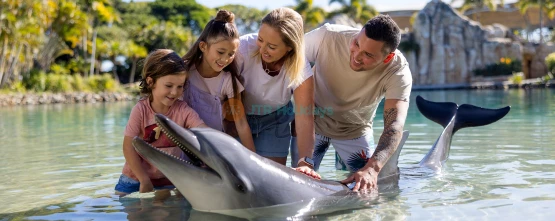 Sea World Gold Coast Ticket - Marine Park Gold Coast Australia - JTR Holidays