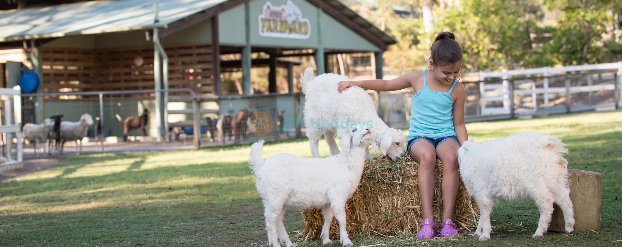 Paradise Country Farm Gold Coast | Authentic Australian Farm Experience - JTR Holidays - Image 3 of 5
