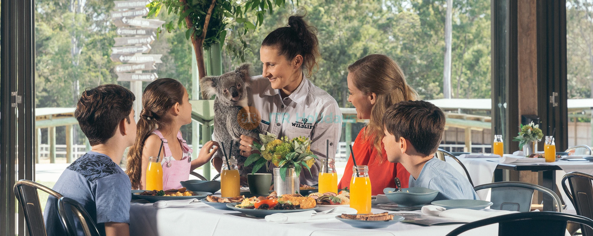 Paradise Country Farm Gold Coast | Authentic Australian Farm Experience - JTR Holidays - Image 4 of 5